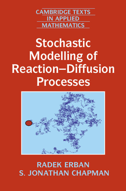 Stochastic Modelling of Reaction–Diffusion Processes