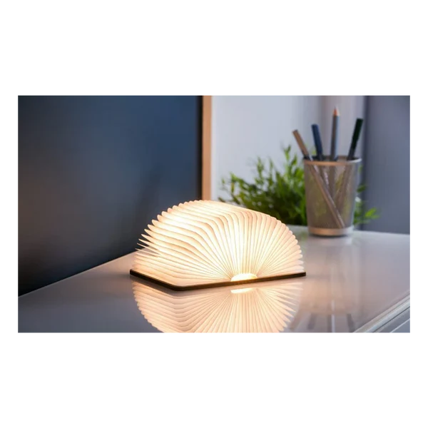 SALE University Book Light (ex-display)