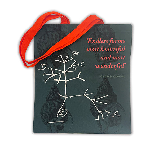 Darwin Endless Forms Green Tote Bag