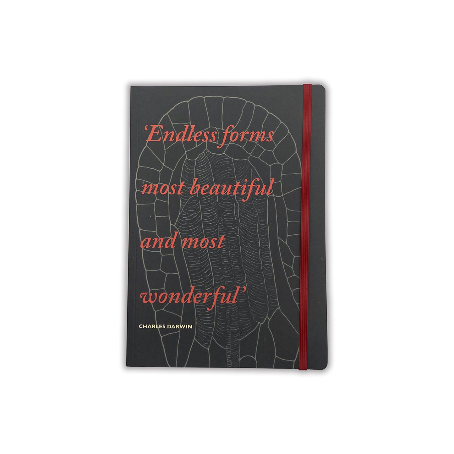 Darwin Endless Forms Notebook