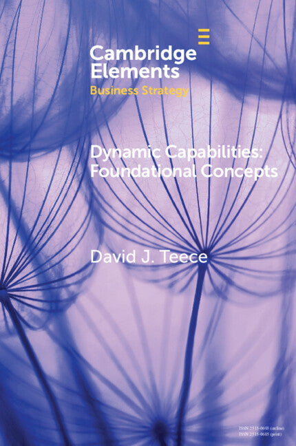 Dynamic Capabilities