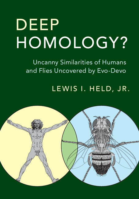 SALE Deep Homology?