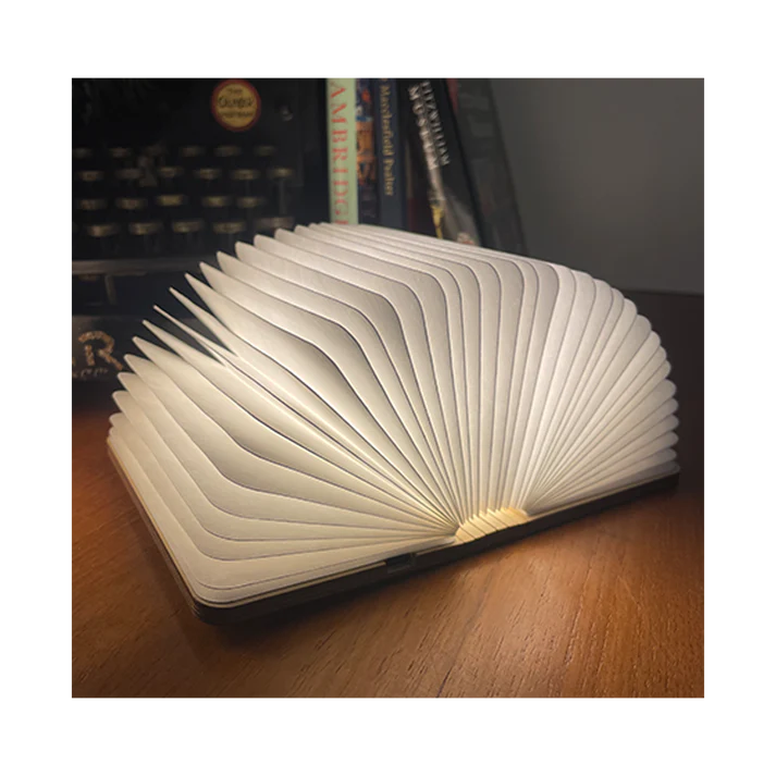 Cambridge University Book Light