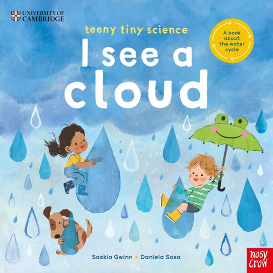 University of Cambridge: Teeny Tiny Science: I See a Cloud