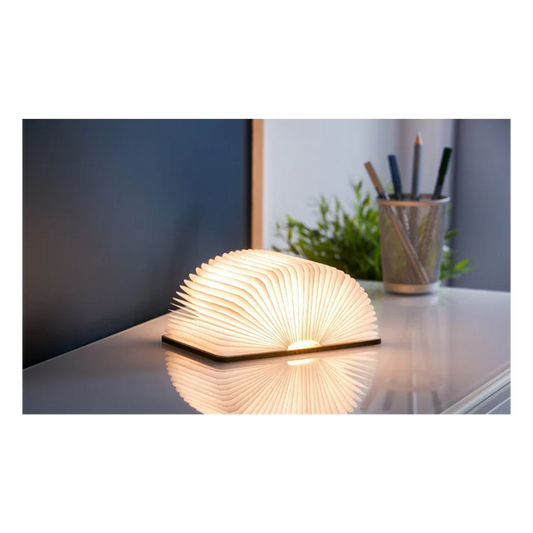 Cambridge University Book Light