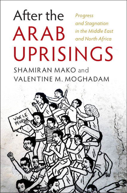 After the Arab Uprisings