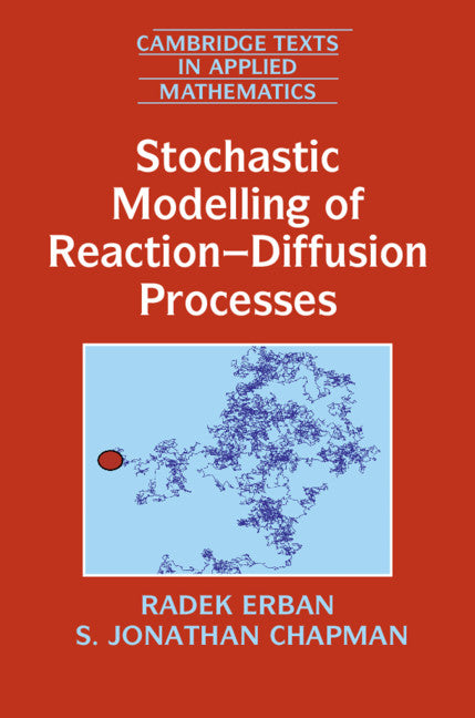 Stochastic Modelling of Reaction–Diffusion Processes