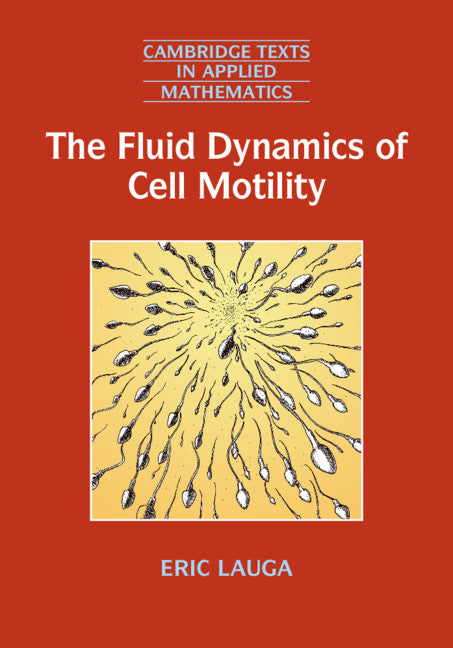 The Fluid Dynamics of Cell Motility